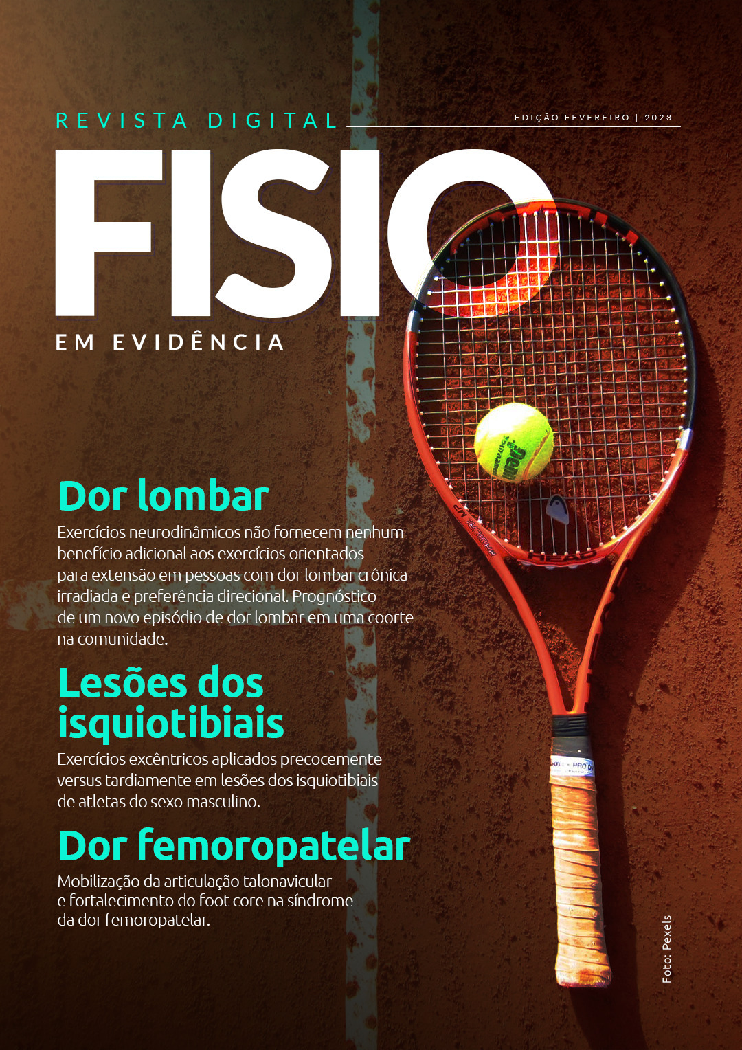 Capa da edição 2 da Revista Fisio em Evidência