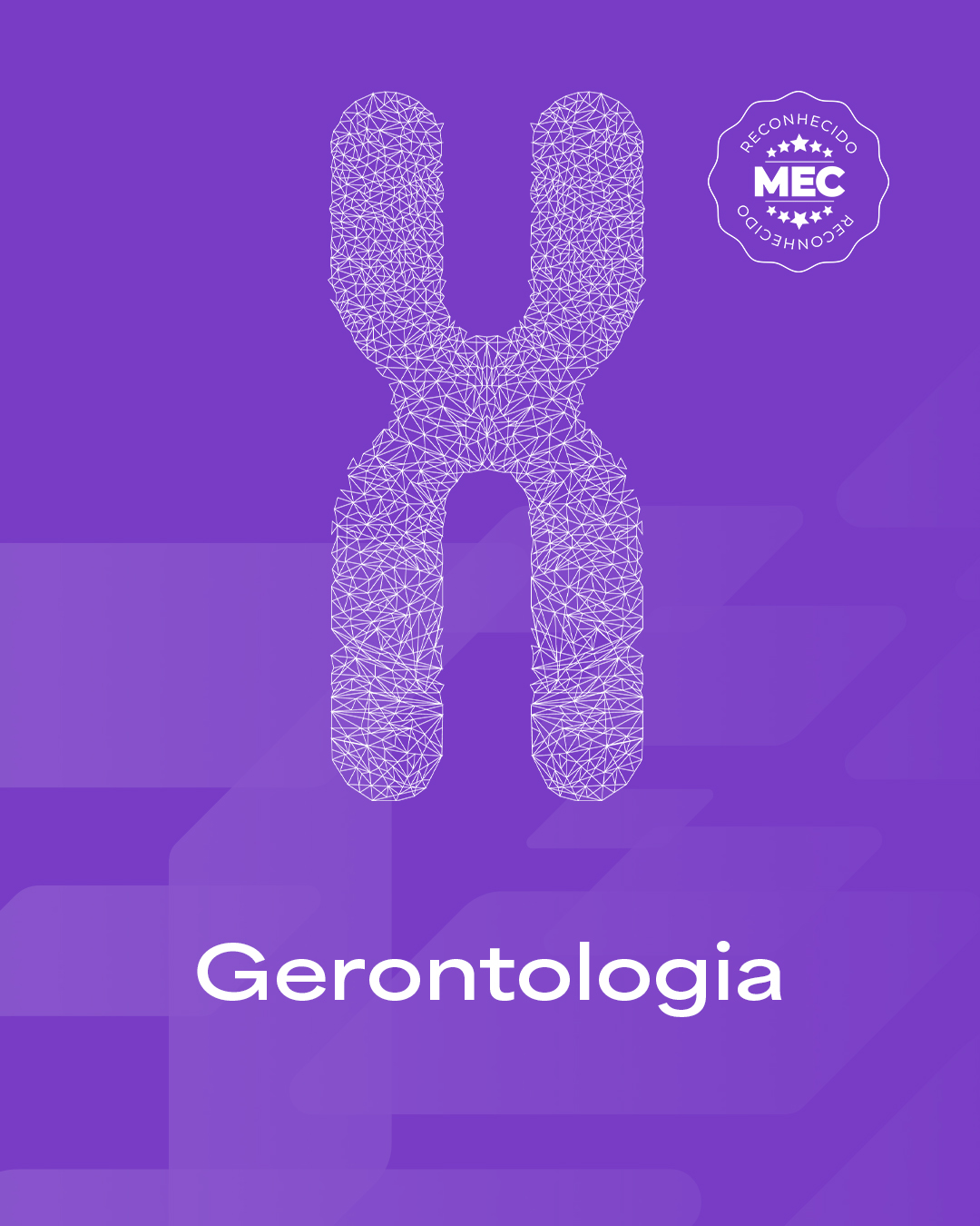 Pós em Fisioterapia em Gerontologia
