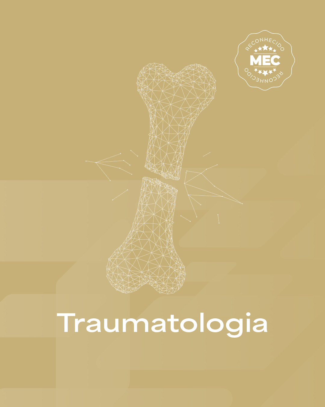 Pós em Fisioterapia em Traumatologia