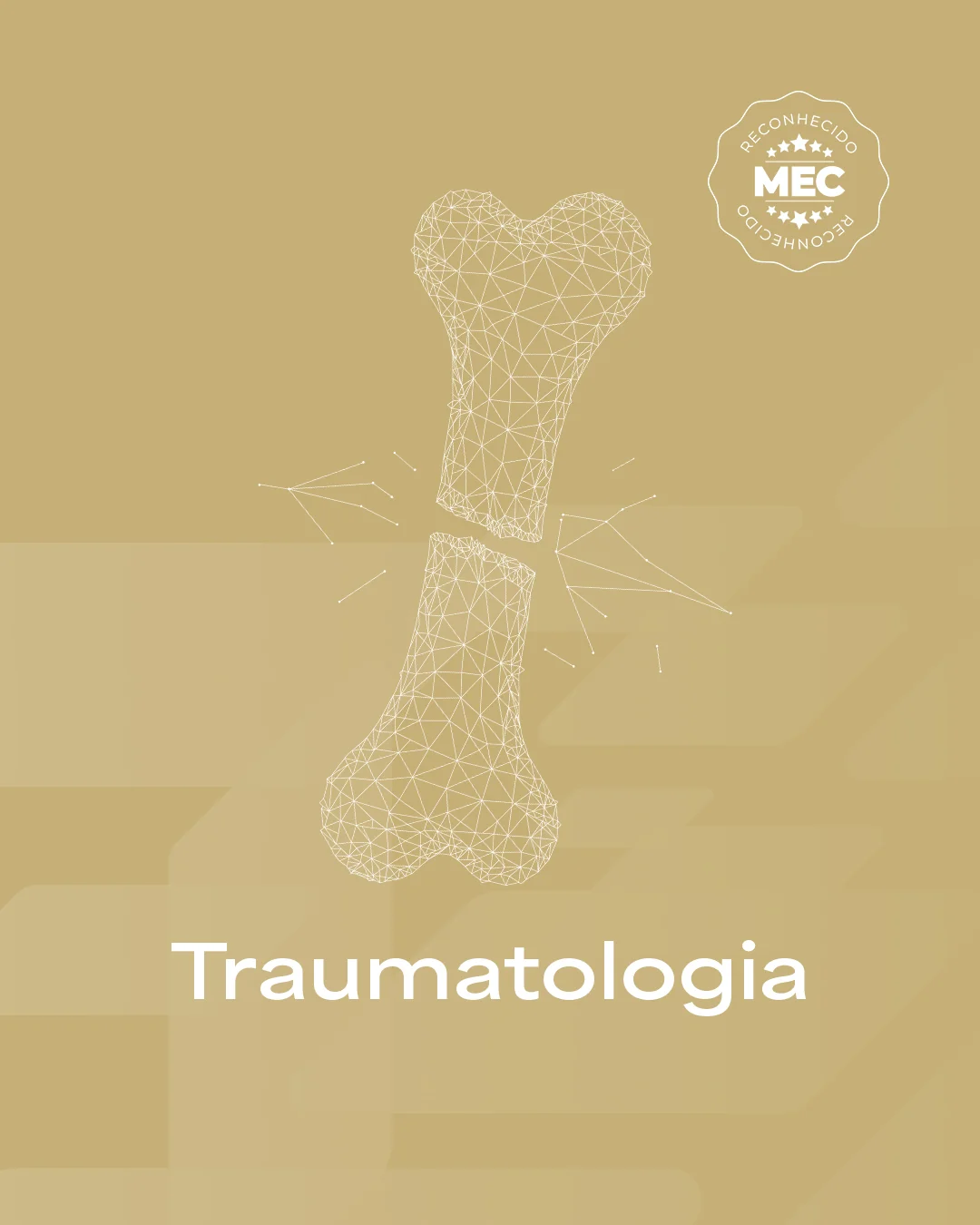 Pós em Fisioterapia em Traumatologia