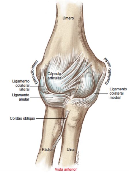 Epicondiloalgia Medial 1