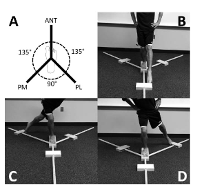Figura 10: Y-balance Test. Fonte: Poweden C et al., 2019
