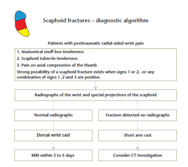 Figura 18: Algoritmo fraturas de escafoide Fonte: Martin Clementson; Anders Björkman; Niels O. B. Thomsen. Acute scaphoid fractures: guidelines for diagnosis and treatment. EFORT Open Rev 2020;5:96-103. DOI: 10.1302/2058-5241.5.190025.