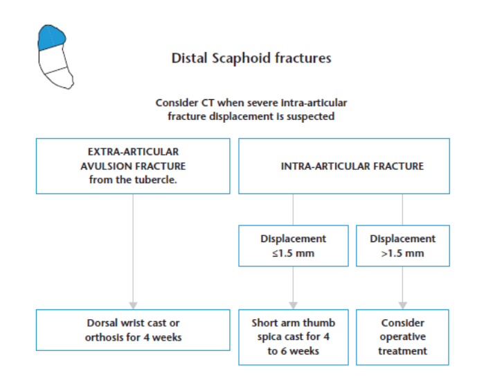 Figura 21: Algoritmo fraturas de escafoide Fonte:Martin Clementson; Anders Björkman; Niels O. B. Thomsen. Acute scaphoid fractures: guidelines for diagnosis and treatment. EFORT Open Rev 2020;5:96-103. DOI: 10.1302/2058-5241.5.190025.