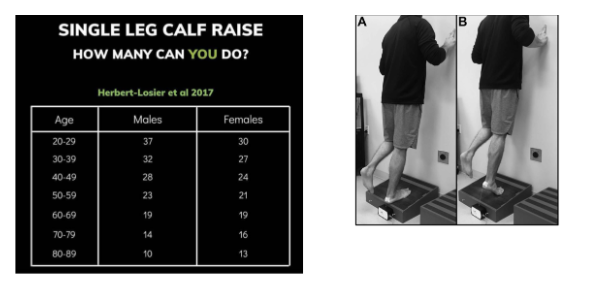 Figura 8: Teste de Heel Rise ou teste de elevação do calcâneo. Fonte: Herbert-Losier et al., 2017.