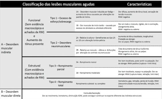 Lesões Musculares