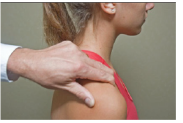 Imagem 7. Teste de Paxino. Fonte: Orthopedic Physical Examination Tests: An Evidence-Based Approach, 2 a ed, 2013.