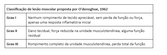 Lesão muscular
