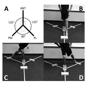 Figura 14: Y-balance Test. Fonte: Poweden C et al. The reliability of the Star Excursion Balance Test and Lower Quarter Y-balance Test in healthy adults: a systematic review. Int J Sports Phys Ther. 2019 Sep;14(5):683-694.